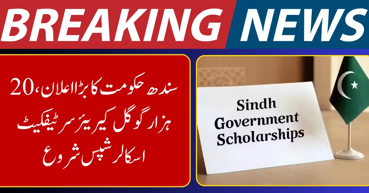 Sindh Launches 20,000 Google Career Certificate Scholarships